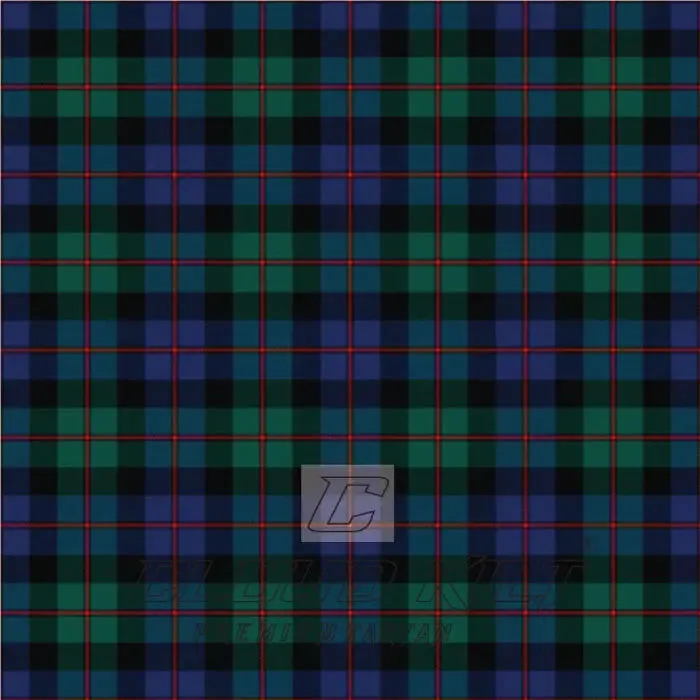 Coarse Kilt Modern Tartan