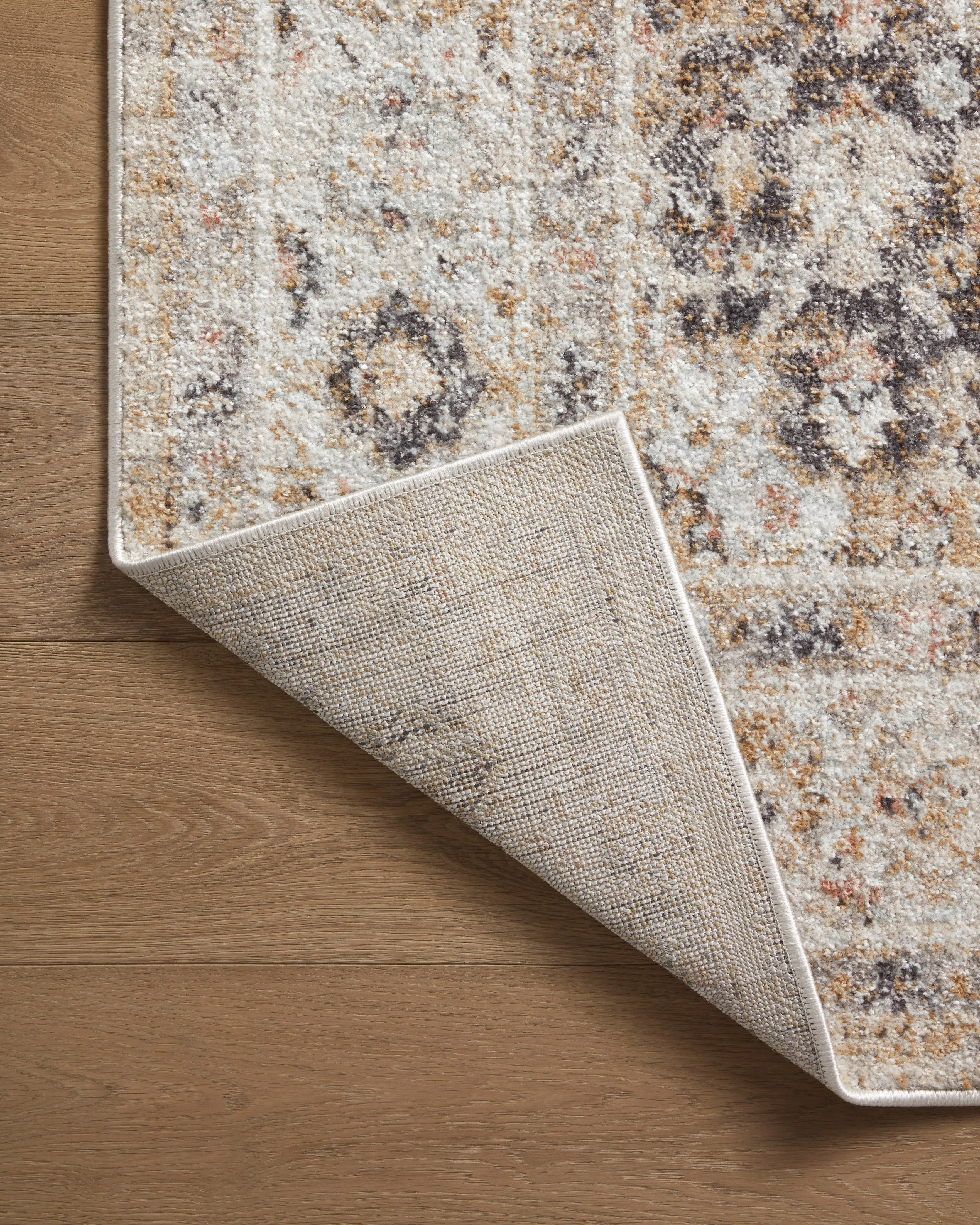 Loloi Monroe Beige / Multi Rug